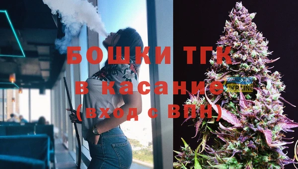 мяу мяу мука Арсеньев