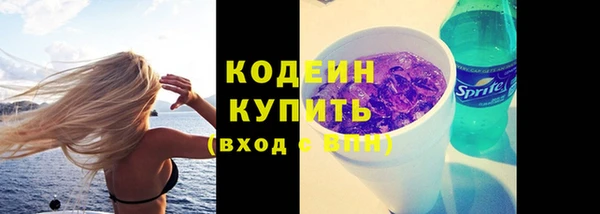 мяу мяу мука Арсеньев