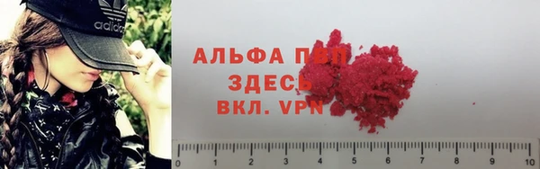 мяу мяу мука Арсеньев