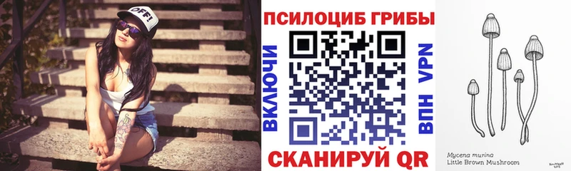 Псилоцибиновые грибы мухоморы  купить наркотики цена  Болотное 